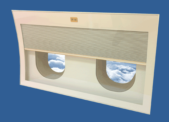 Double Window Shades